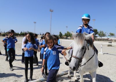Proyecto optimo Year 6