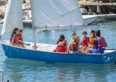 vela optimo 2024