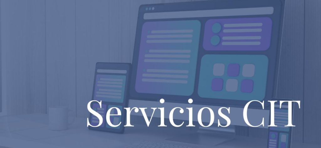Servicios-CIT-2