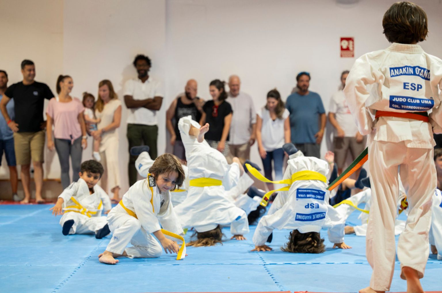A judo session at Colegio Internacional Torrequebrada