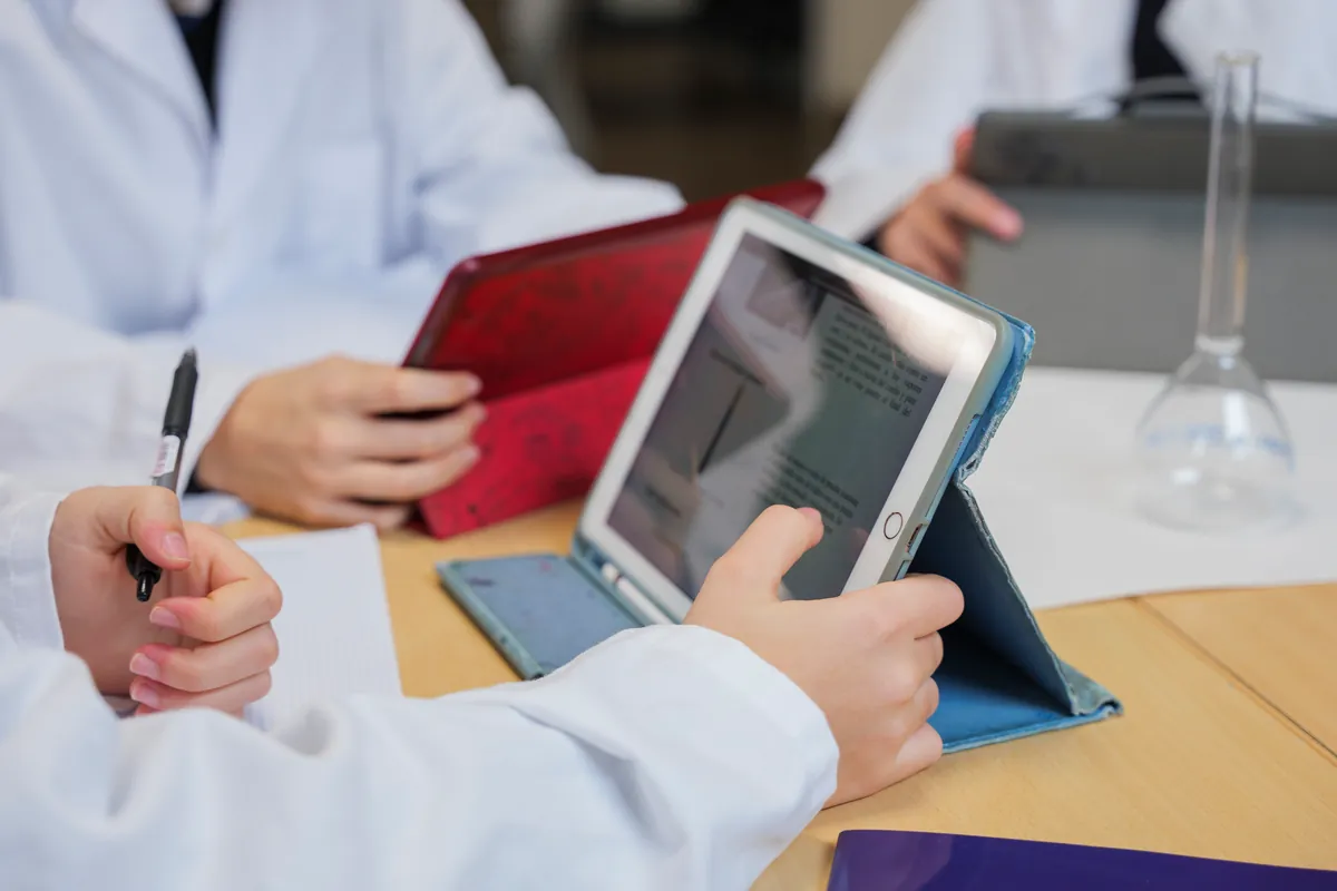 Programming and Advanced Programming at Colegio Internacional Torrequebrada